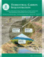 Terrestrial Carbon Sequestration: Analysis of Terrestrial Carbon Sequestration at Three Contaminated Sites Remediated and Revitalized with Soil Amendments