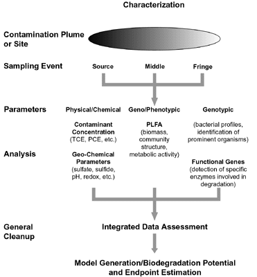 Figure 2: Integrated Approach to Determining Bioremediation Potential