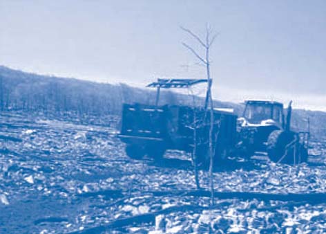 Figure 2. Standard spreading equipment was tailored significantly to apply a mushroom-based amendment directly onto the rocky soil surface of Blue Mountain’s OU 1.