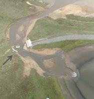 Overflow of the arsenal's network of stormwater holding ponds due to record-breaking rainfall and subsequent rupture of the Havana Ponds dam used for controlled release of the stored water.