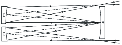 Exhibit 7.  White Cell Configuration.